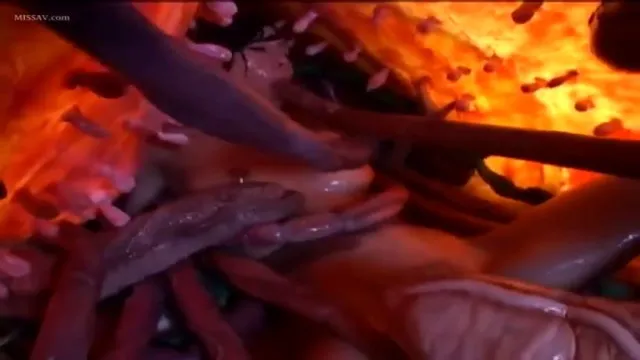 Monster bertentakel itu memperkosa saya p2